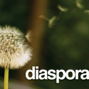 diaspora_logo-570x427
