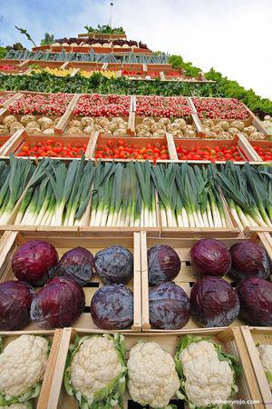 Une pyramide de légumes en plein coeur de Bordeaux ! IMG_7986