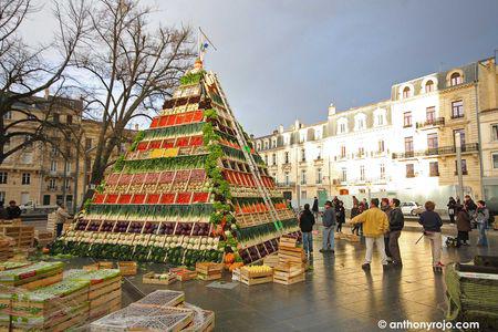 Une pyramide de légumes en plein coeur de Bordeaux ! IMG_7960