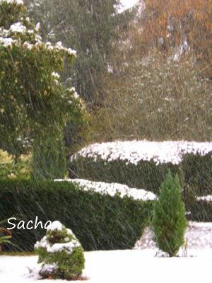 Premiers flocons ..Cake au caramel Premiers flocons ..Cake au caramel