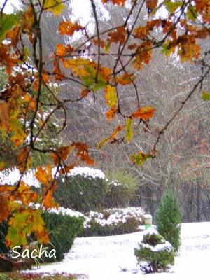 Premiers flocons ..Cake au caramel Premiers flocons ..Cake au caramel