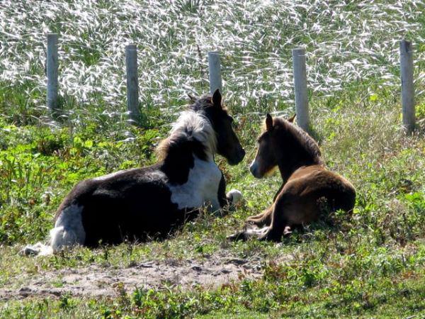 Vidéo Dailymotion 3 Insérer une vidéo Dailymotion dans un blog WordPress