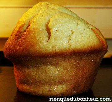 muffins aux agrumes