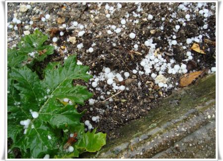 28 novembre 2010, week-end à Meschers 28 novembre 2010, week-end à Meschers