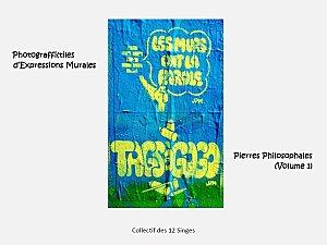 Anniv' des 5 ans du Collectif des 12 Singes : Promo à pas cher jusqu'à Noël couv-V1