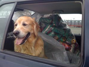 O.N.E. Objets Non Enfouis :: Charlesthé par Julie Lapierre O.N.E. Objets Non Enfouis :: Charlesthé par Julie Lapierre