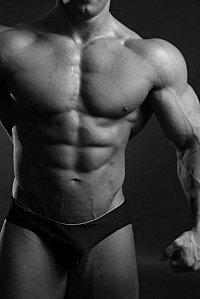 Muscles-homme.jpg