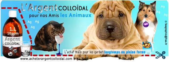 Argent-colloidal-animaux Les Animaux et l’argent Colloïdal