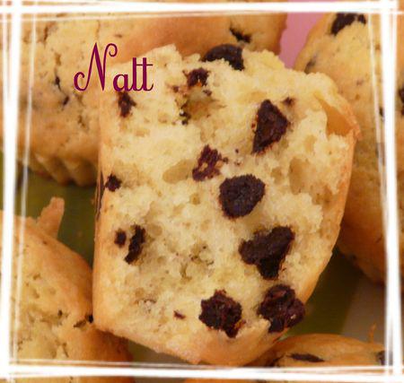 Muffins vanille et chocolat muffins_vanille_chocolat_2