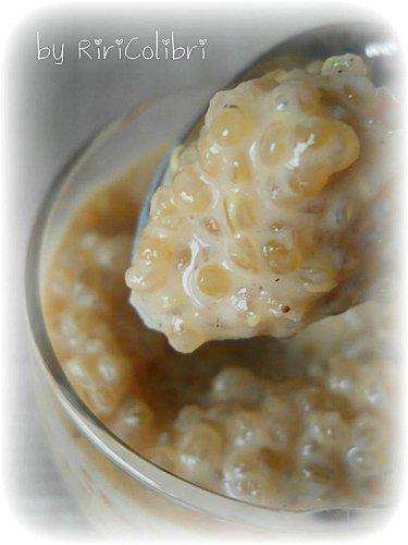 Quinoa au Lait sur Lit de Miel Pomme-Poire, Pétales de Poire quinolait-gp-quinoa.jpg