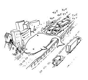 bouchonbaleine