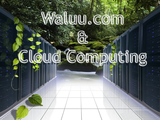 Waluu a 1 an : bilan d'une startup pas comme les autres. -small