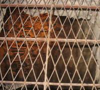 L’église Saint Michel photo-0281221999333.1291140038.jpg