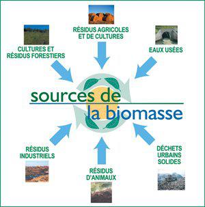 Une définition de la biomasse