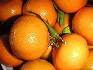 Confiture de clémentines à la rose PICT0147