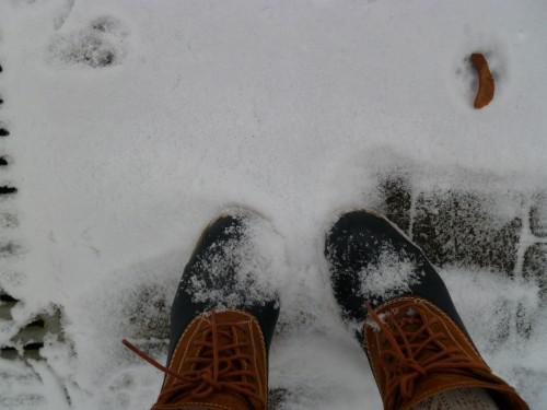 freezing december P1010290.JPG