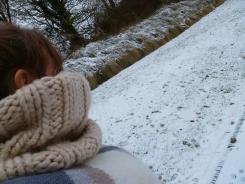 freezing december P1010297.JPG