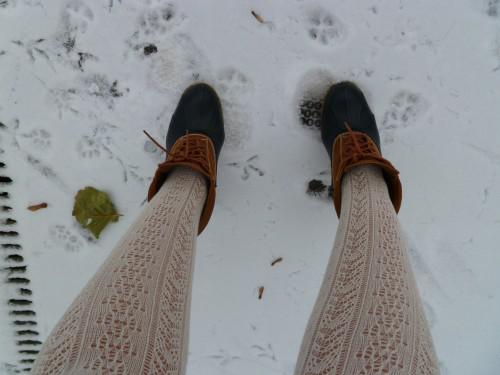 freezing december P1010288.JPG