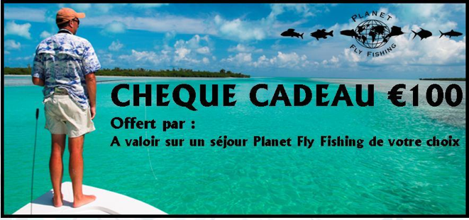 Capture d’écran 2010-12-02 à 23.28.17 XMAS/NOËL SHOPPING 3