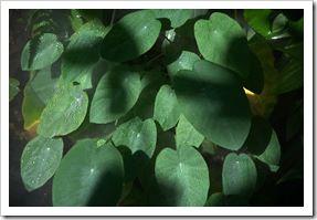 Washington_2010.08.30_027 Washington_2010.08.30_027