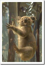 Washington_2010.08.30_066 Washington_2010.08.30_066