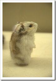 Washington_2010.08.30_073 Washington_2010.08.30_073