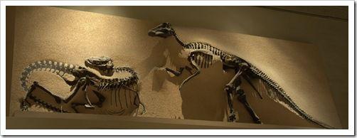 Washington_2010.08.30_036 Washington_2010.08.30_036