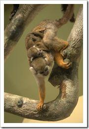 Washington_2010.08.30_071 Washington_2010.08.30_071