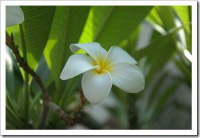 Washington_2010.08.30_019 Washington_2010.08.30_019