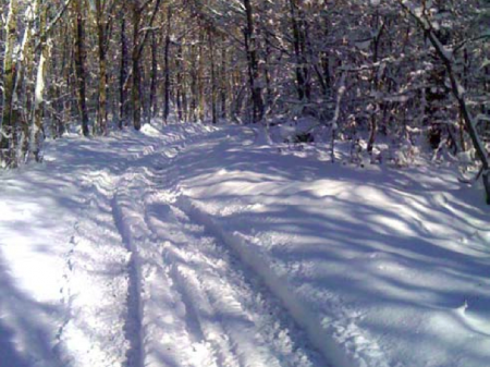 SaintéLyon - Reco 1 SaintéLyon 2010 – La nuit blanche !
