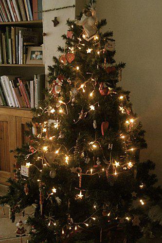 Les guirlandes de Noël sont de maléfiques objets ! blog sapin