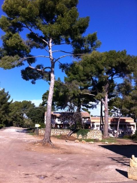 EN PASSANT EN PASSANT