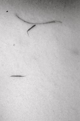 Et si c'était l'amour... ? Et si c'était l'amour... ?