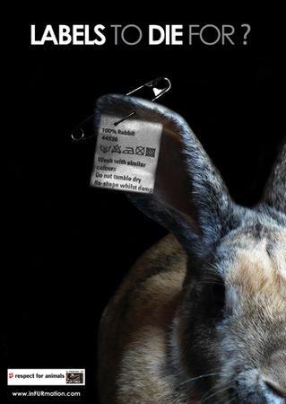 Le véritable prix de la fourrure STAYTE_UK15096_SECOND_PREVIEW