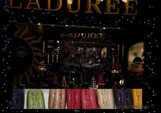 NEZ AU VENT NEZ AU VENT