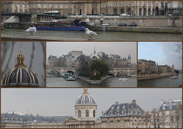 NEZ AU VENT NEZ AU VENT