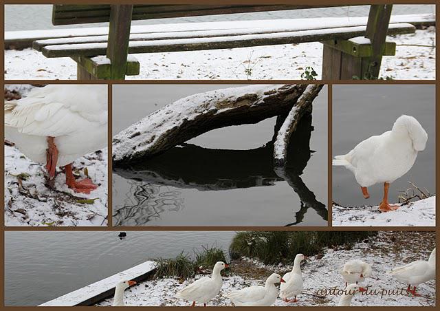 NEZ AU VENT NEZ AU VENT