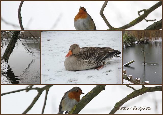 NEZ AU VENT NEZ AU VENT