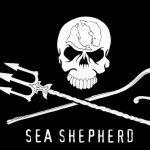 Justicier des mers sea_shepherd2_150x150