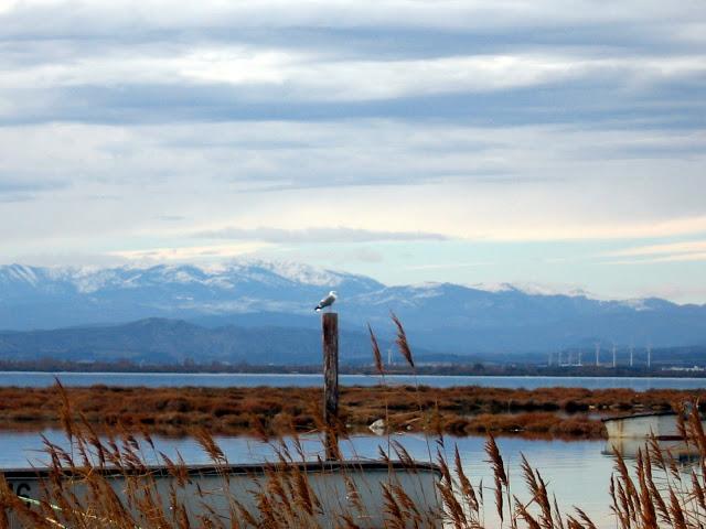 un poème d'une amie un poème d'une amie