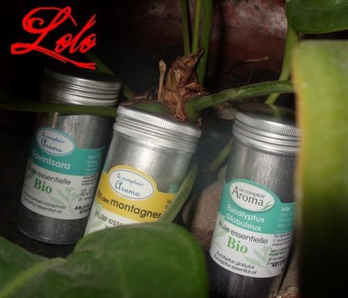 Diffusion D'Huiles Essentielles he.jpg