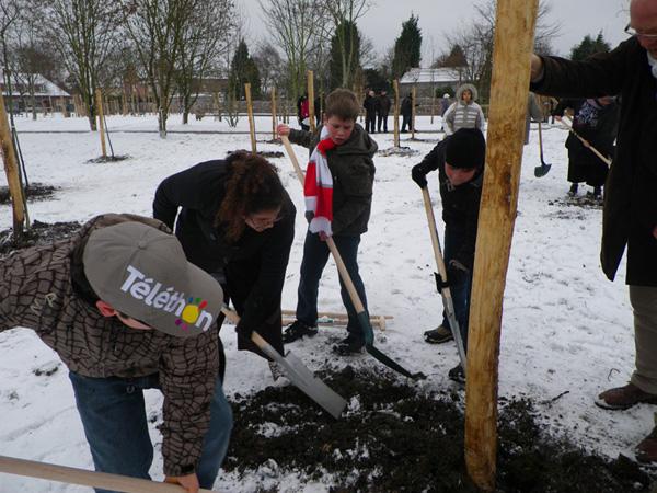 140 Plantation des arbres fruitiers au parc Jean Ferrat