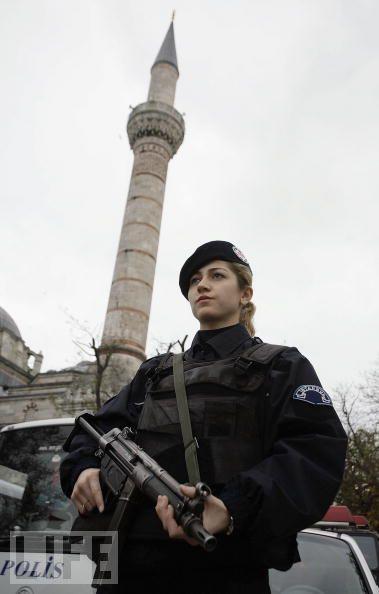 turkey.jpg, déc. 2010 turkey.jpg