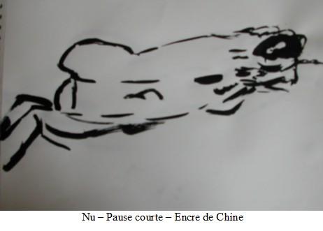 Atelier libre de modèle vivant - les débuts nu-encre.1291927649.jpg