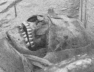 (6) Un puzzle macabre (6) Un puzzle macabre