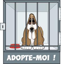 Kiwi a besoin de vous 002504.1291880316.gif