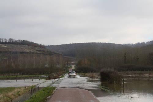 Pas d’eau dans le Chablis ! le-serein-a-chablis-12-10-9.1291973310.JPG