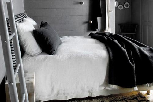 articlechbrenoirelafeline articlechbrenoirelafeline