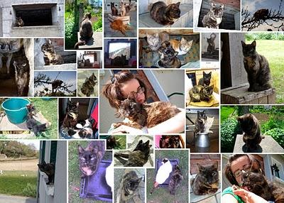 RIP ma Gribouillie d'amour RIP ma Gribouillie d'amour