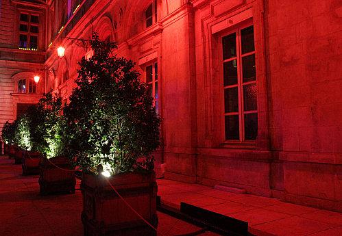 Fete des lumières Rouge.jpg